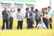[포토뉴스]철원군 벼농사 종합평가회
