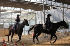 [포토뉴스]용정초교 승마교실 개강