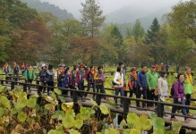 [홍천]천년의 숲 환상의 산책로