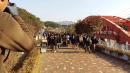 [철원]한탄강 줄기따라 자연·역사 여행