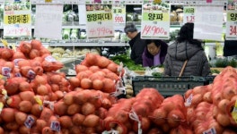 [포토뉴스]훌쩍 오른 물가 장보기 무섭네