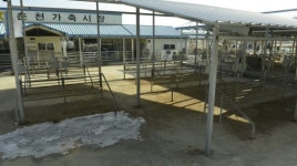 [포토뉴스]문 닫은 가축시장