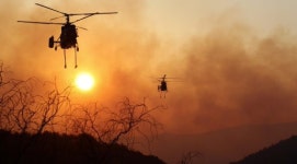 양강지풍에 되살아난 불…산림 75㏊ 잿더미