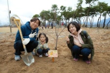 [포토뉴스]강원정보문화진흥원 나무심기