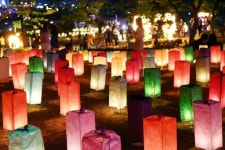 [원주]`한지문화제 27만명 즐겼다