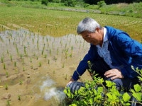 [춘천]기업-마을 상생사업 100㏊ 논에 농수 콸콸