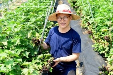 [평창]“성인병 예방 `블랙커런트 아시나요”