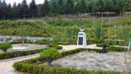 [홍천]국내 유일 `무궁화 수목원 28일 개장