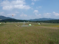 [철원]“꽃길 걸으며 초가을 누려요”