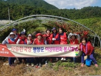[포토뉴스]농촌봉사활동