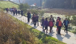 [양양]솔밭 어우러진 가을정취 탄성