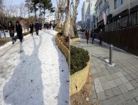 [춘천]`공원·교량 공공시설 제설 사각지대