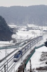 [G-50 특별기획]서울서 제야 종소리 듣고 강릉서 해맞이