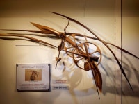 [평창의 꿈을 열다 - 개최지는 지금]정동진 시간박물관 올림픽 기념 특별전