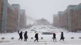 춘분에 때아닌 30㎝ 폭설강원대 도계캠 휴교 검토