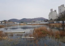[삼척]썩은 호수로 변한 아파트 공사현장