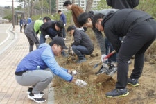 올림픽 유산으로 남을 나무 9,000그루 심어