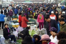 [원주]개장 첫날부터 인산인해… 정·활력 넘쳐