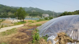 마을옆 분뇨 산더미… 3년째 악취 시달려