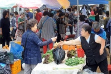 [포토뉴스]왁자지껄 5일장