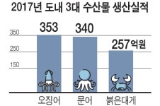 러시아 선단의 침공…동해안 붉은대게 싹쓸이 위기