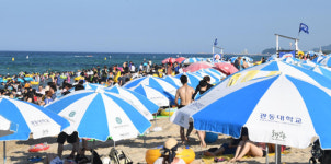 동해안 가마솥 더위…삼척 신기 37.6도 올해 최고기온 기록