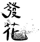 비극의 땅에서평화의 꽃을피우다