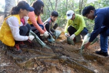 [원주]“한줌의 흙으로 도심의 허파에 산소 공급”