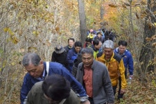 [정선]백두대간 단풍보며 힐링 산행