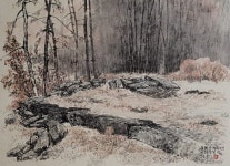 천년의 혼 찾아 불교문화유산답사기