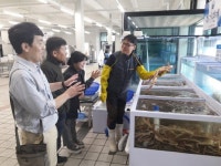 [동해]“대게 싸고 맛있네” 전국 입소문