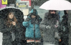 [포토뉴스]함박눈