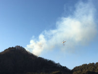 인제군 서화면 천도리 양지마을 인근 산에서 불