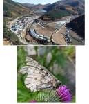 [삼척]“천혜경관 광동댐 일대 호수둘레길 만들자”