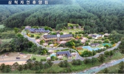 [삼척]미로면에 전국 최고의 자연휴양림