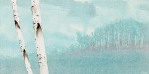 미술관 자작나무숲 개관15주년 정시영 `Birch-white Soul전
