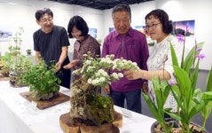 [원주]치악산국립공원사무소 오늘 야생화 전시회