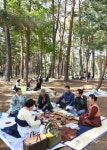 [포토뉴스]소나무 숲 아래서 들차회 다도체험