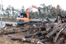 [동해]망상캠핑장 복구비 수백억 부족 정부지원 절실