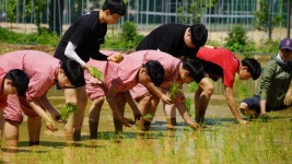 농사지으며 사회적경제의 가치 배우는 학생들