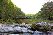 [홍천]자연·문화재 품은 수타사 힐링명소 부상