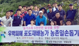 [포토뉴스]예밀리 포도농가 봉사