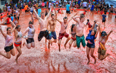 [화천]시티투어버스로 즐기는 화천토마토축제