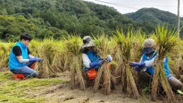 [포토뉴스]농어촌공사 홍천춘천지사 태풍 복구 봉사