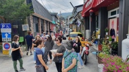 [정선]정선 고한 야생화마을 도시재생 선진지 각광