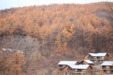 [강원관광 새장을 열다-힐링관광지]국립횡성숲체원