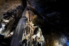 일제강점기 금광 작업중 발견 정선 `화암동굴 천연기념물 됐다