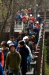 [원주]2,000명 열기 단풍 붉게 물들였네