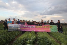 [포토뉴스]사랑의 보람농장 김장배추 수확 행사