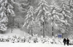 [포토뉴스]`雪國 강원 이래서 반갑다